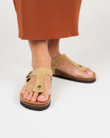 Gamuza esmeralda arena