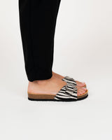 Azurite Zebra