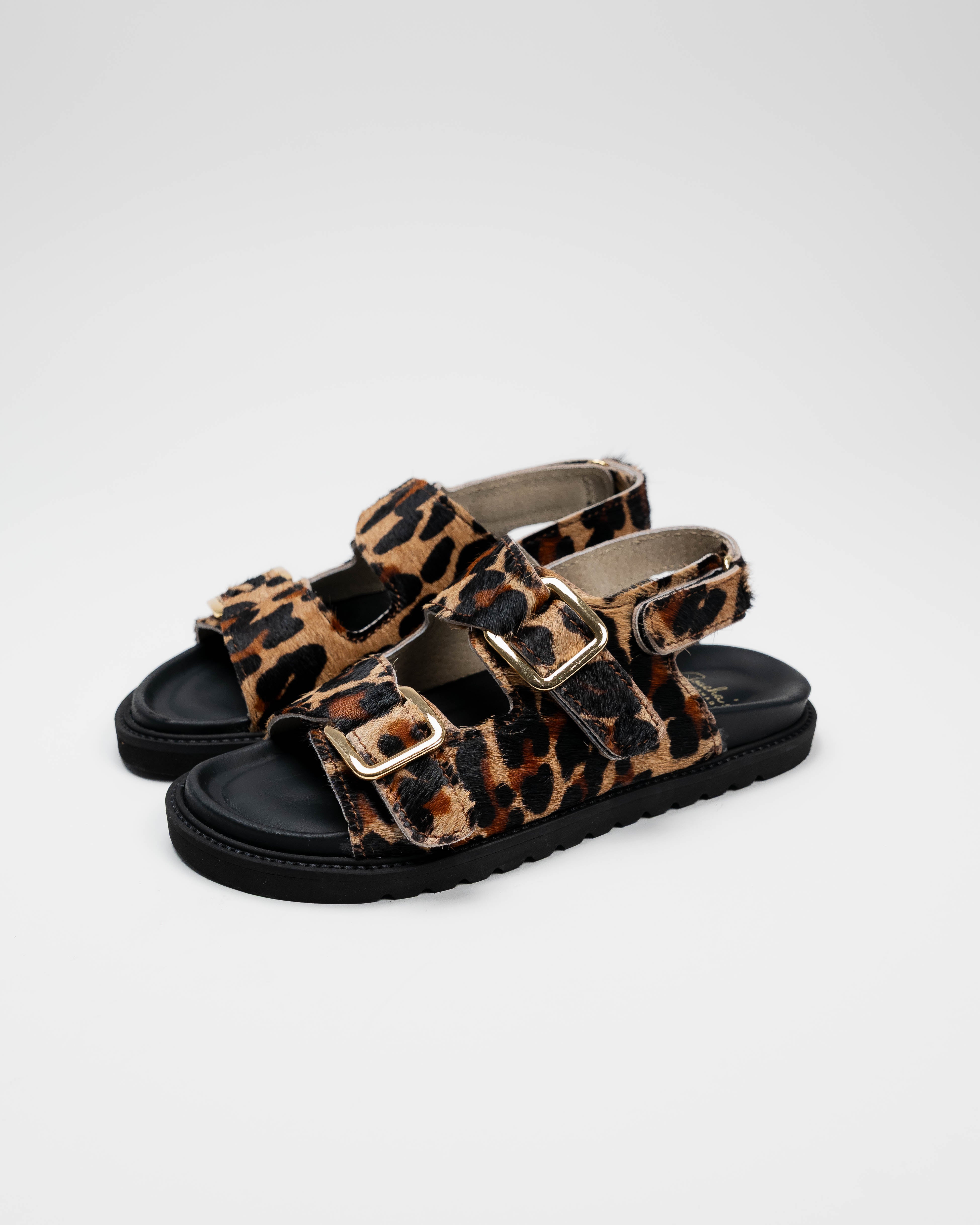 Leopard Diamond