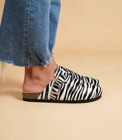 Mules Zebra