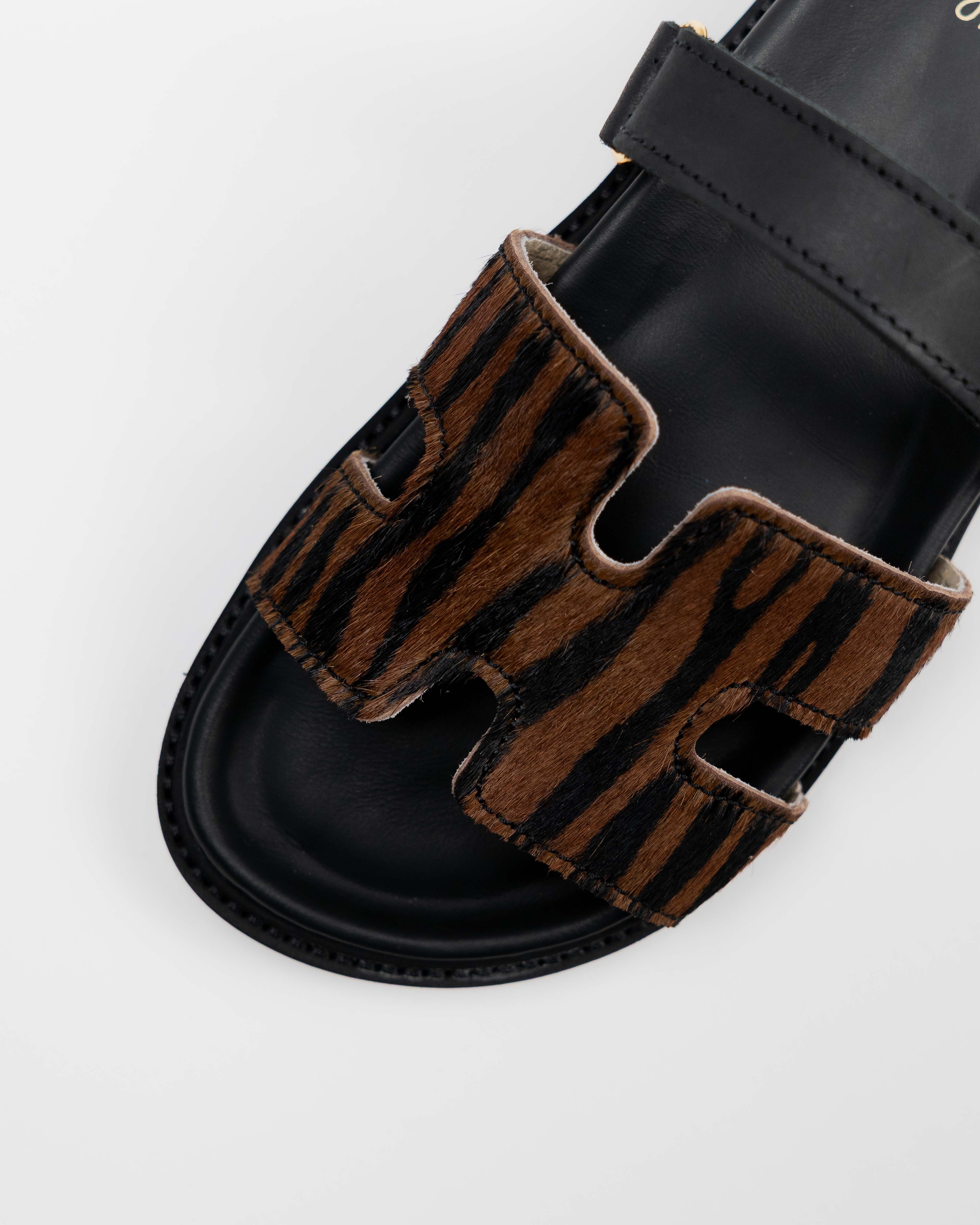 Zebra Onyx