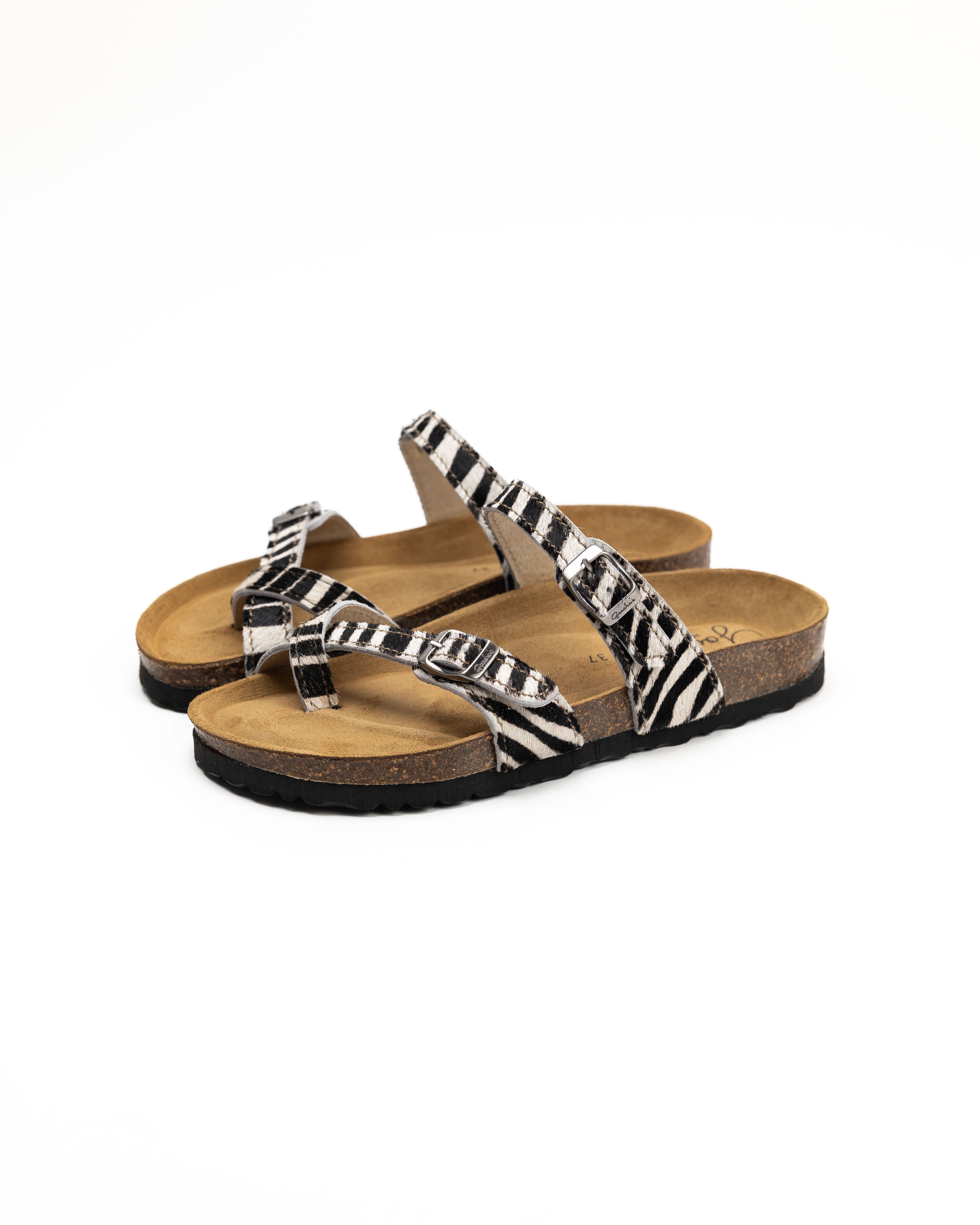 Âmbar Zebra