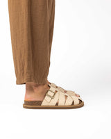 Raiz Podría Bailarín