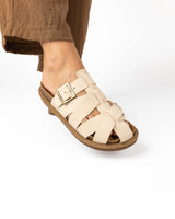 Raiz Podría Bailarín